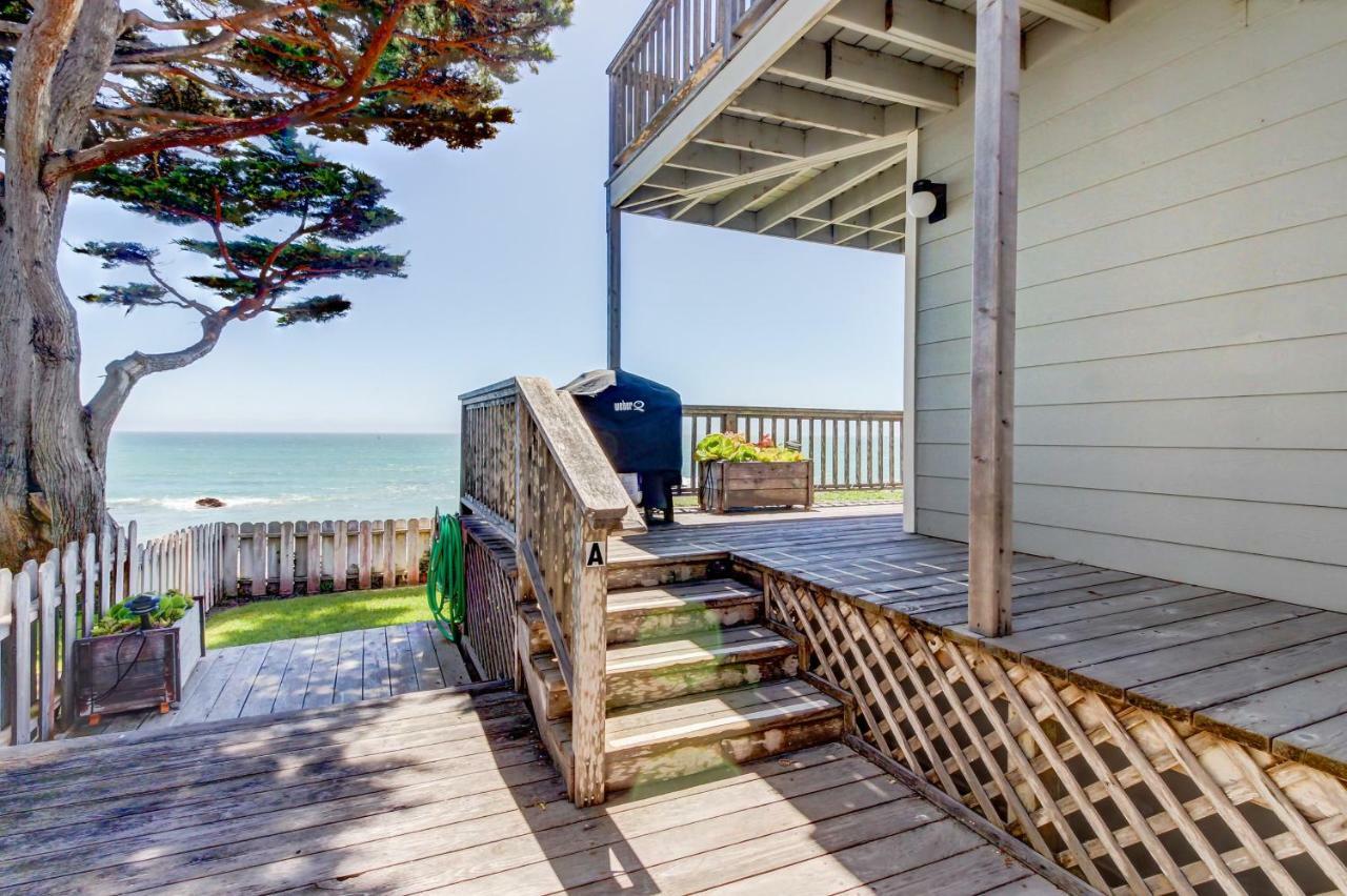 Oceanfront Delight Villa Cayucos Dış mekan fotoğraf